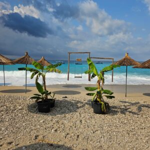 Picture of the private beach area beach at Domi, Dhermi